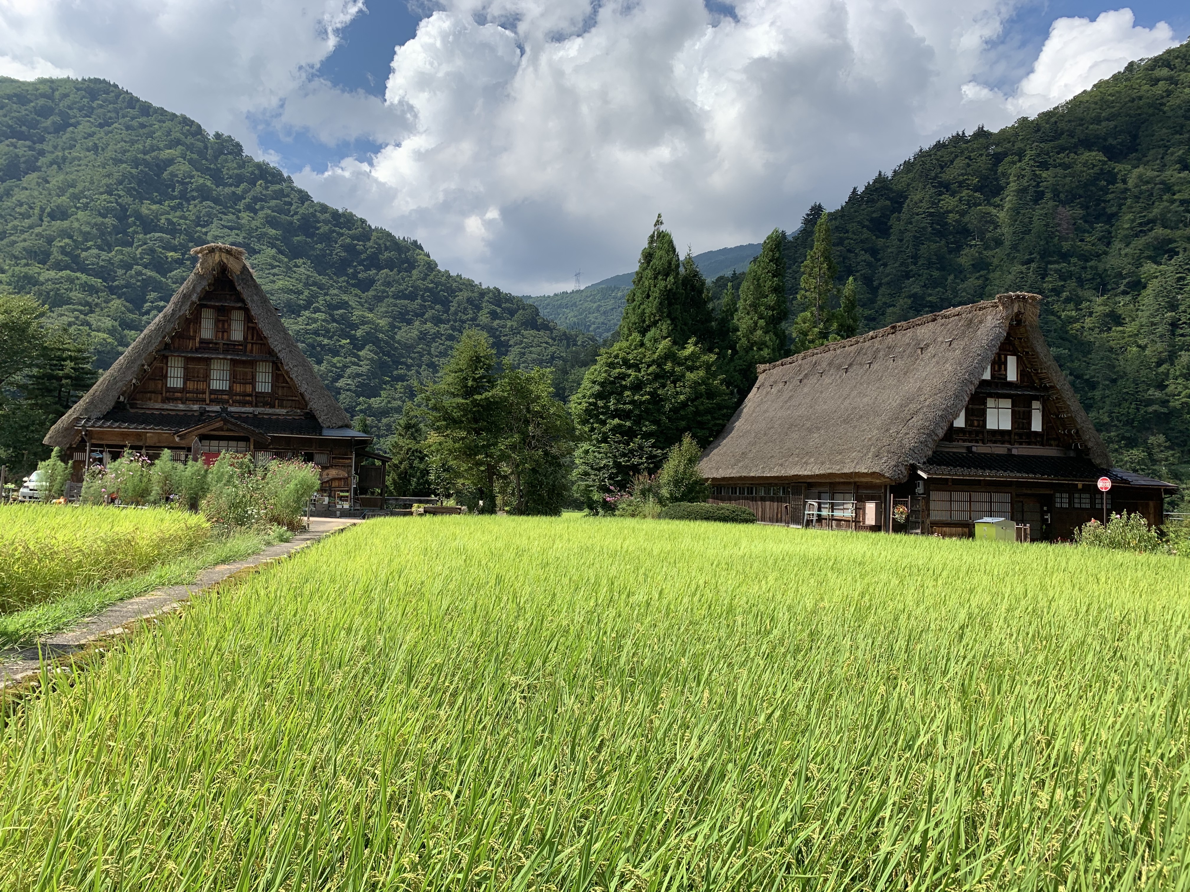 553GRb4gQ4KUtpTpNsj+CA